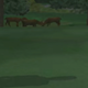 Illustration for article titled 10 Clumps Of Grass In Video Games